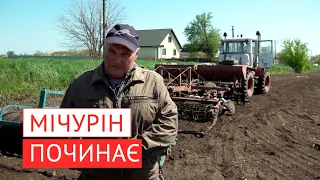 Як підготувати ґрунт для висадки кукурудзи.