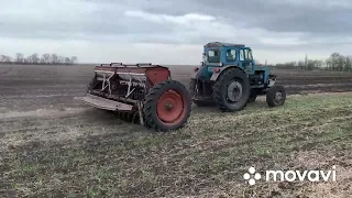 Підживлення сівалкою СЗ-3,6.Ефективне внесення азоту. Озимий ячмінь Луран.#т40ам #т40 #сз