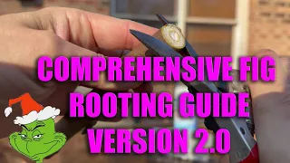 VERSION 2.0: 2023 COMPREHENSIVE GUIDE TO ROOTING FIG CUTTINGS