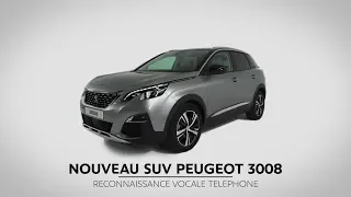 PEUGEOT 3008 SUV | Phone Voice Recognition