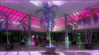MACINTOSH PLUS - リサフランク420  現代のコンピュー (playing in an empty shopping centre)