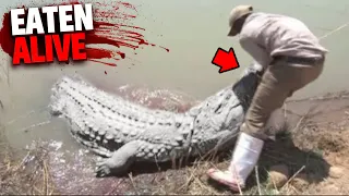 This ALBINO Crocodile Eats Fisherman Alive In Front of His Wife!