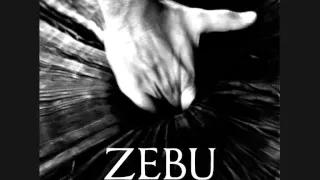 Zebu - "The Guru"