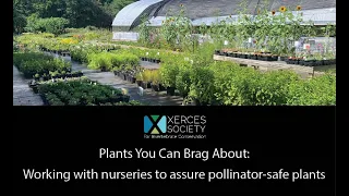Plants You Can Brag About: Working with nurseries to assure pollinator-safe plants