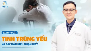 Tinh trùng yếu và các dấu hiệu nhận biết | Bác sĩ Ngô Đình Triệu Vỹ | IVF Tâm Anh