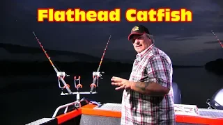 Finding and catching the Giant American Shovelhead Catfish at night