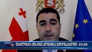 თბილისის მტკიცე პოზიცია ევროსაბჭოში