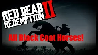 All Black Horse In Red Dead Redemption 2