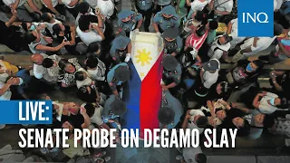 Senate probe on Degamo slay