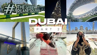 DUBAI VLOG PT 2 | 21ST BIRTHDAY | Grand Mosque, Club Blu, Green Planet, Chillout Ice, Miracle Garden