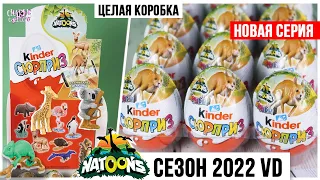 Новые 🐢Natoons🌿2022 от Киндер Сюрприз | Открываем целую коробку Натунс