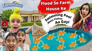 Flood Se Farm House Ke Swimming Pool Mein Fishes Aa Gayi | RS 1313 VLOGS | Ramneek Singh 1313