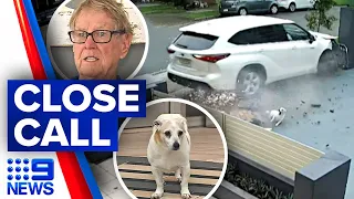 Exclusive footage of man and dog narrowly dodging swerving car  | 9 News Australia