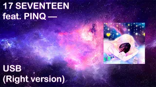 17 SEVENTEEN feat. PINQ — USB (Right version)