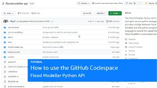 How to use the GitHub Codespace