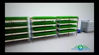 Инструкция по сборке гидропонной установки .Зелень в квартире , в катакомбах  или на МКС