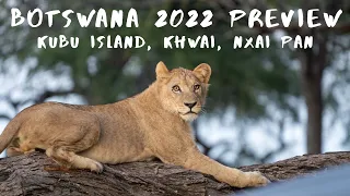 Botswana 2022 Preview | Kubu Island, Khwai, Nxai Pan