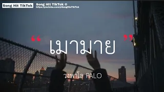 เมามาย - วงพาโล PALO (เนื้อเพลง)