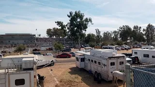 Clovis Rodeo