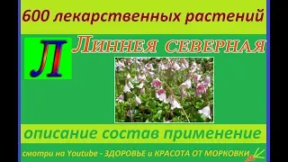 ЛИННЕЯ СЕВЕРНАЯ 600 лекарственных растений