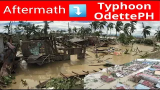 TYPHOON ODETTE "The Aftermath" Bohol Philippines
