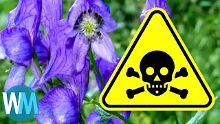 Top 10 Dangerous Plants That Can Literally Kill You