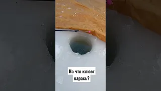 Как поймать карася зимой?