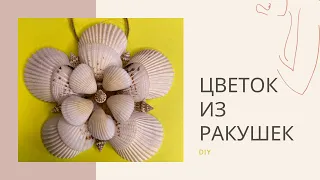 Цветок из ракушек / Поделка из ракушек / Подвеска / Украшение интерьера