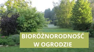 Bioróżnorodność w ogrodzie