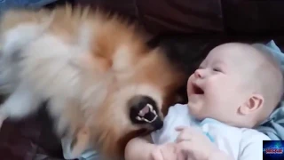 Best Babies and Animals Compilation Videos    Funny Babies Compilation July 2015