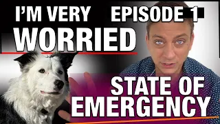 State of Emergency: The Dog Training Crisis is Here. The Case Against Aversive Tools.