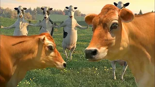 Funny Cow Dance 4 - Cow Dance Song Videos 12