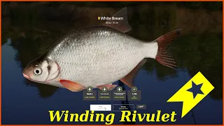 Trophy White Bream Winding Rivulet