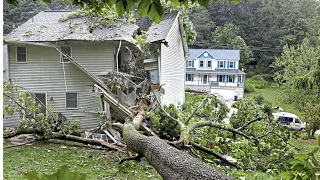 Dangerous Idiots Tree Felling Fails With Chainsaw - Tree Removal Fails and Tree Falling On Houses