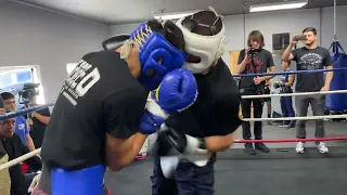 WATCH THE FISTS FLY - FUTURE SUPERSTAR DIEGO PACHECO SPARRING IN CAMP WITH JOSE BENAVIDEZ