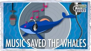 How We Saved the Whales (With Pop Music)