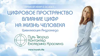 Цифровое пространство | Влияние цифр на жизнь человека