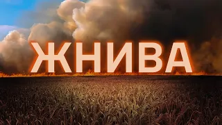 «Жнива» - авторський вірш військового медика 24 ОМБр імені короля Данила