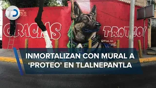 Pintan mural de Proteo en Tlalnepantla, lomito rescatista que murió en Turquía