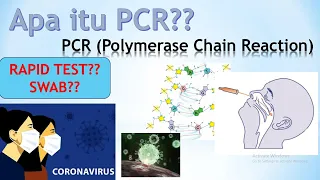 PCR (Polymerase Chain Reaction) dalam Swab Test Corona. Apa Perbedaan Rapid Test dan Swab Test?