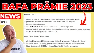 ENDLICH OFFIZIELL!🚨 ELEKTROAUTO FÖRDERUNG (BAFA PRÄMIE) 2023 + 2024 | EFIEBER