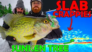 Locating Giant CRAPPIE with Panoptix Live Scope - AGGRESSIVE SCHOOL OF SLABS SMASH HUGE BAITS