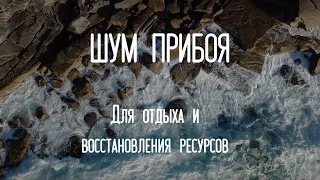 Шум моря, крики чаек и морских котиков - полное единение с природой для гармонизации состояия