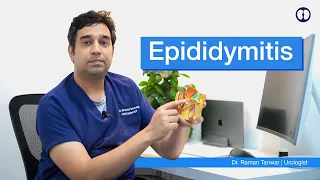 Epididymitis: A challenging cause of Scrotal Pain | Andkosh main Dard