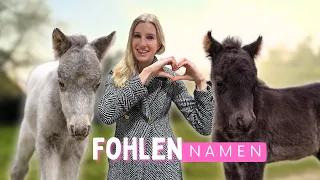 Wie heißen meine FOHLEN? 😍 Ich verrate es euch!