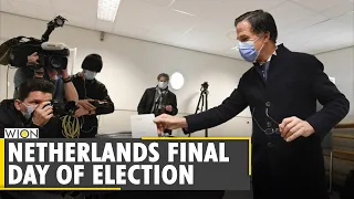 WION Dispatch | Netherlands Election: Dutch Prime Minister Mark Rutte set to win big | English News