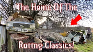 We Found Some Super Rare Classics INC Ford, Audi, Fiat And Many More!..