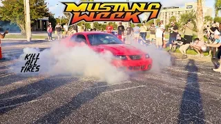 Mustang Week 2019 Burnouts & Rev Battle!