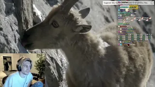 xQc Reacts To The Incredible Ibex Defies Gravity and Climbs a Dam | Forces of Nature with Brian Cox