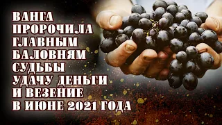 Ванга пророчила главным баловням судьбы удачу деньги и везение в июне 2021 года Быка